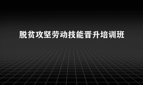 脱贫攻坚劳动技能晋升培训班