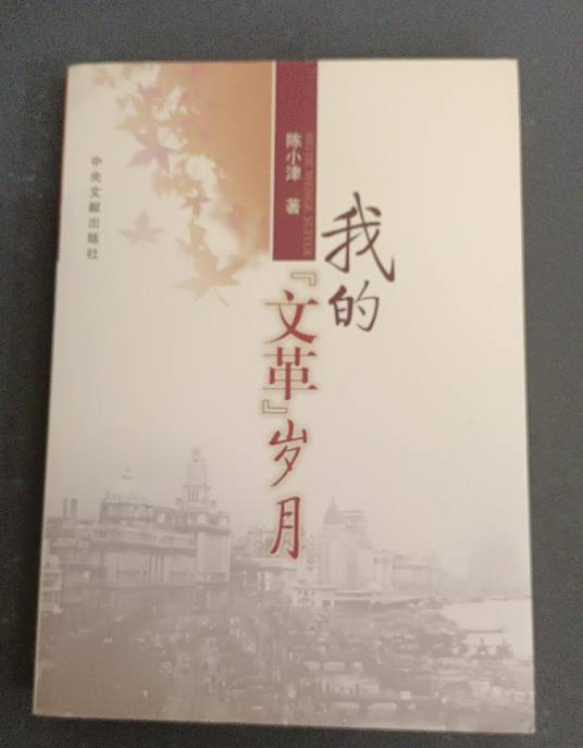 我的“文革”岁月
