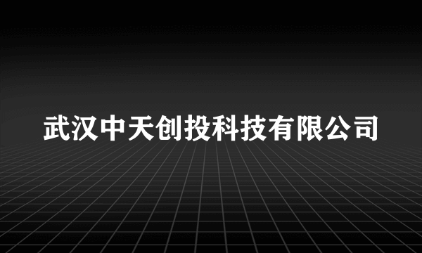 武汉中天创投科技有限公司