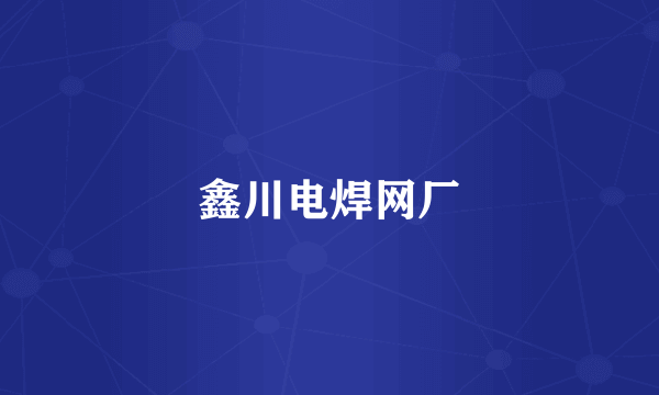 鑫川电焊网厂