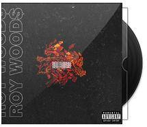 instinct（Roy Woods,MadeinTYO演唱的歌曲）