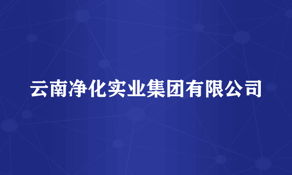 云南净化实业集团有限公司