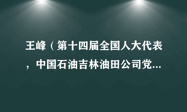王峰（第十四届全国人大代表，中国石油吉林油田公司党委书记）