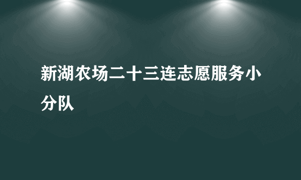 新湖农场二十三连志愿服务小分队