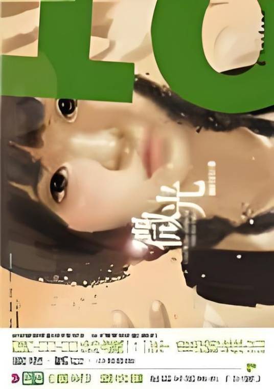 微光（2013年花山文艺出版社出版的图书）