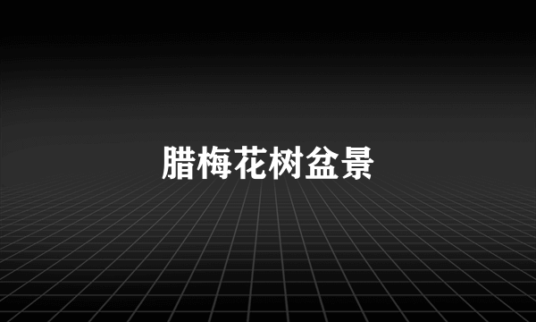 腊梅花树盆景