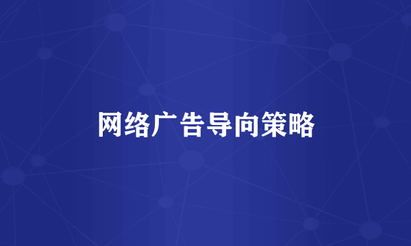 网络广告导向策略