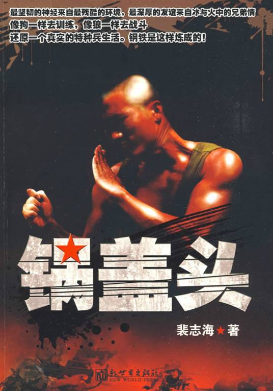 锅盖头（2009年新世界出版社出版的图书）