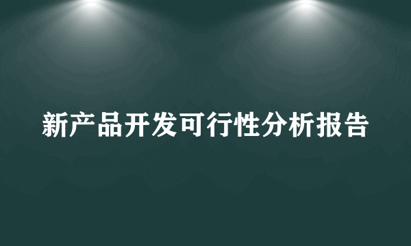 新产品开发可行性分析报告