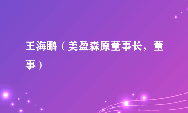 王海鹏（美盈森原董事长，董事）