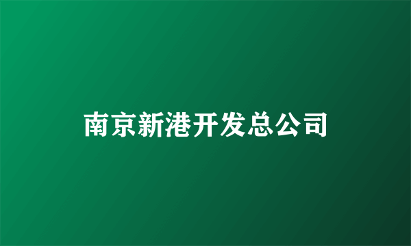 南京新港开发总公司