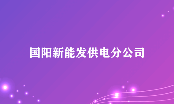 国阳新能发供电分公司