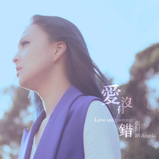 爱没有错（张韶涵演唱歌曲）