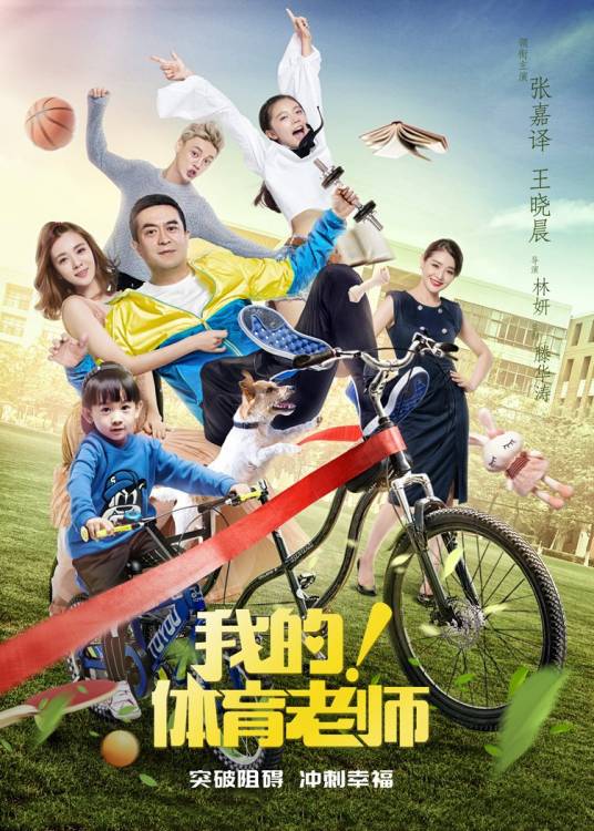 我的！体育老师（2017年林妍执导的都市爱情电视剧）