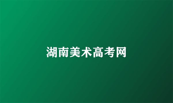 湖南美术高考网