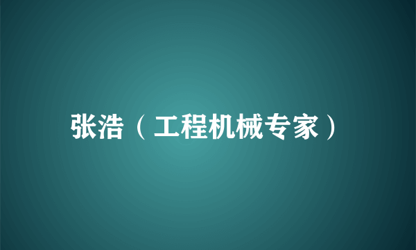 张浩（工程机械专家）