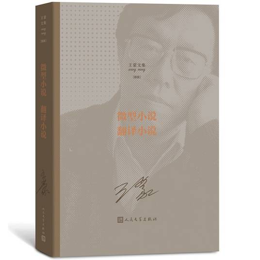 王蒙文集之：微型小说翻译小说