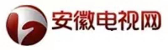 安徽电视台网站
