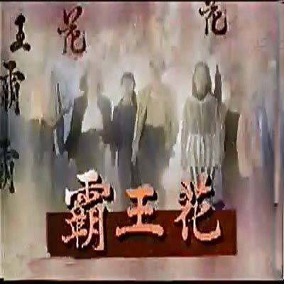 霸王花（1994年伍宗德执导的电视剧）