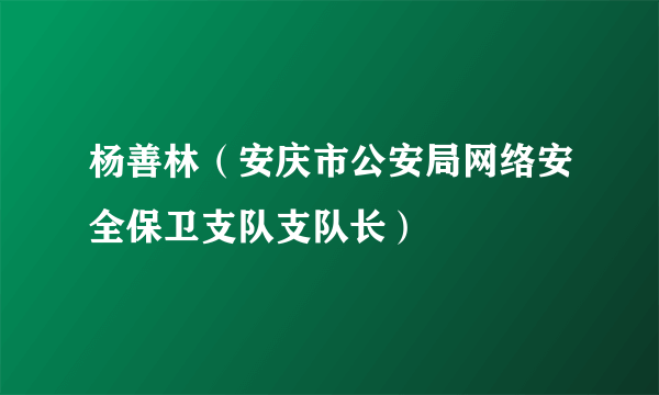 杨善林（安庆市公安局网络安全保卫支队支队长）
