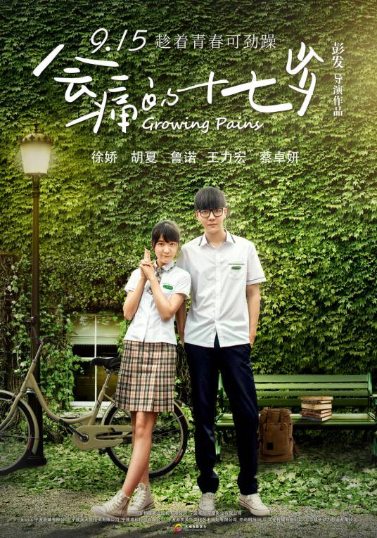 会痛的十七岁（2017年彭发执导电影）