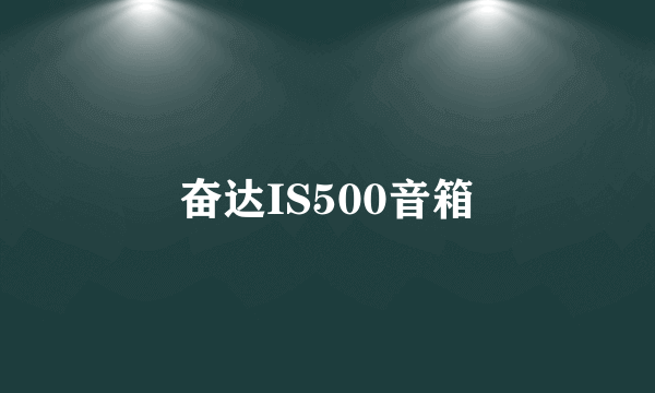 奋达IS500音箱