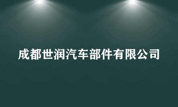 成都世润汽车部件有限公司
