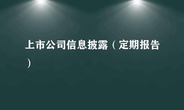 上市公司信息披露（定期报告）