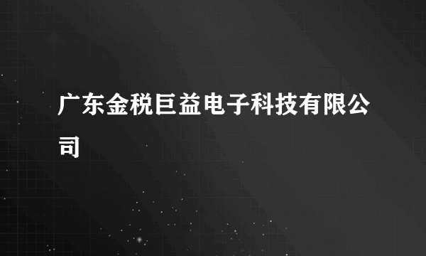 广东金税巨益电子科技有限公司