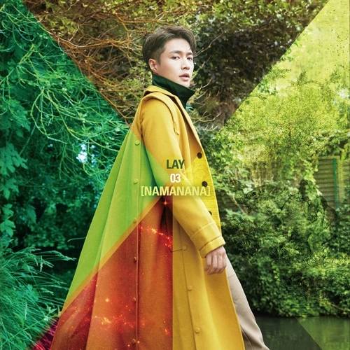 Flavor（张艺兴演唱歌曲）