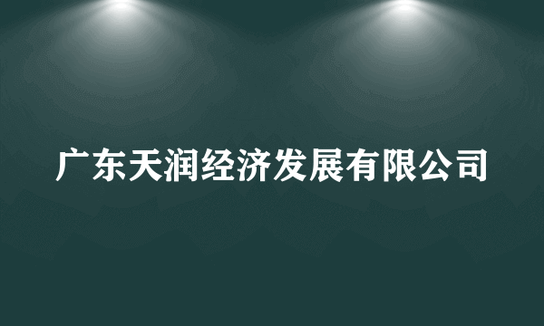 广东天润经济发展有限公司
