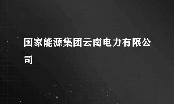 国家能源集团云南电力有限公司