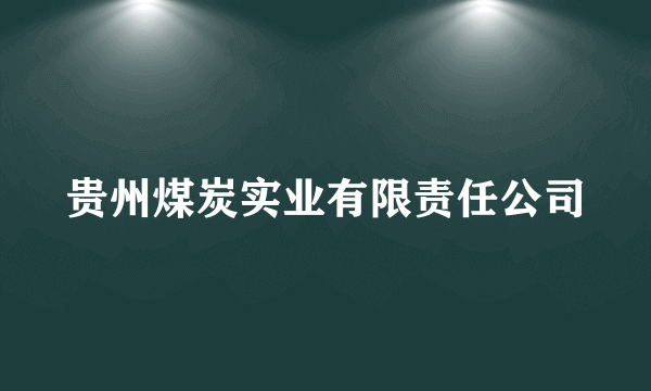 贵州煤炭实业有限责任公司