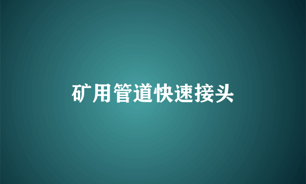 矿用管道快速接头