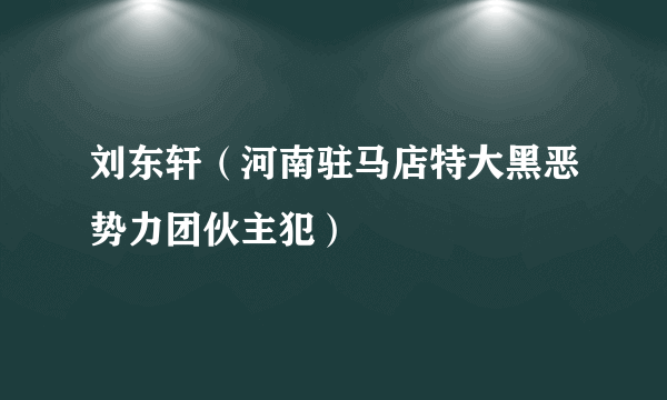 刘东轩（河南驻马店特大黑恶势力团伙主犯）