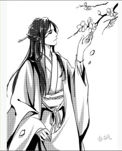 朴枫