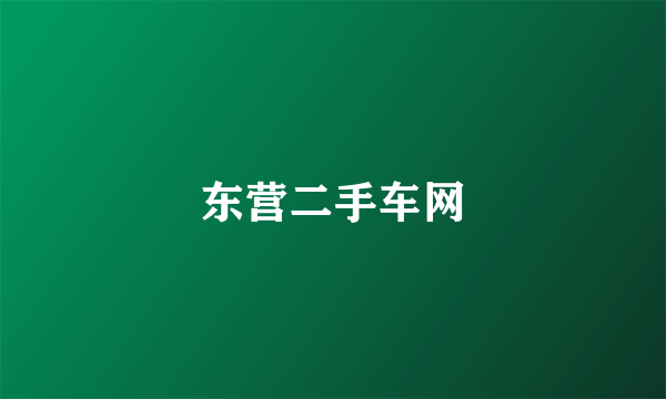 东营二手车网