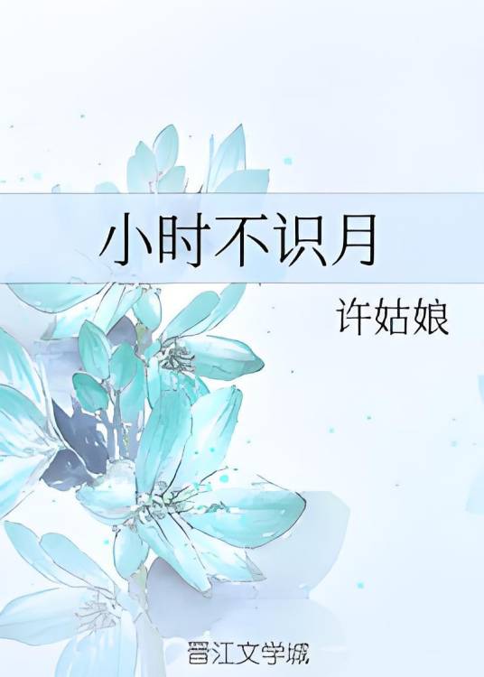 小时不识月