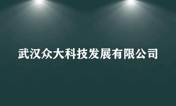 武汉众大科技发展有限公司
