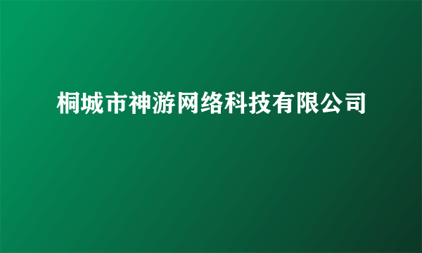 桐城市神游网络科技有限公司