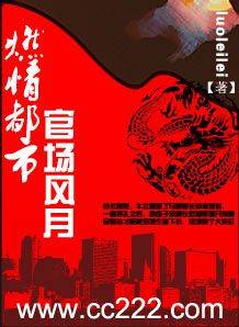 燃情都市：官场风月