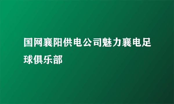 国网襄阳供电公司魅力襄电足球俱乐部