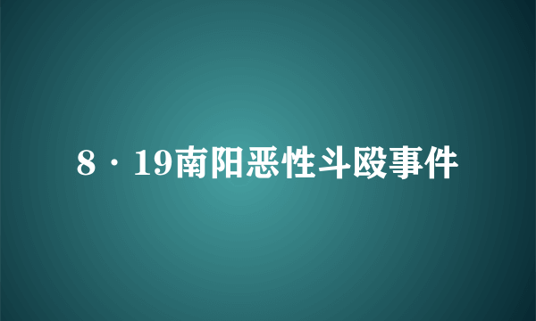 8·19南阳恶性斗殴事件