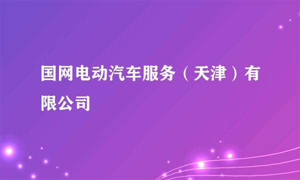国网电动汽车服务（天津）有限公司