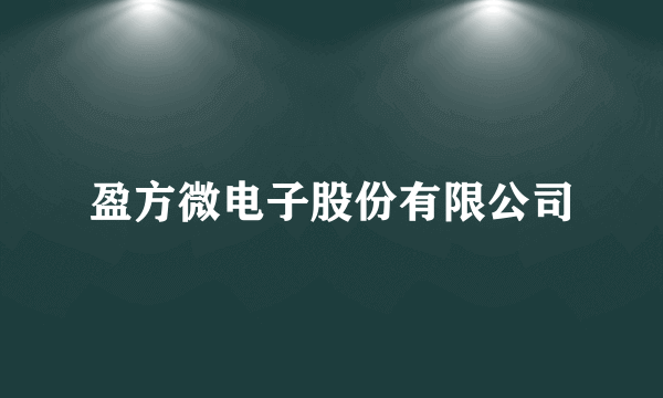 盈方微电子股份有限公司