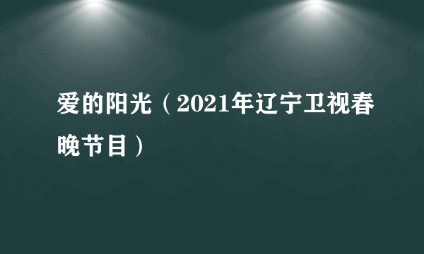 爱的阳光（2021年辽宁卫视春晚节目）
