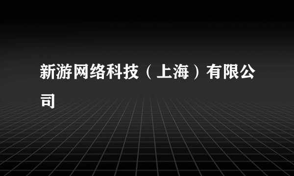 新游网络科技（上海）有限公司