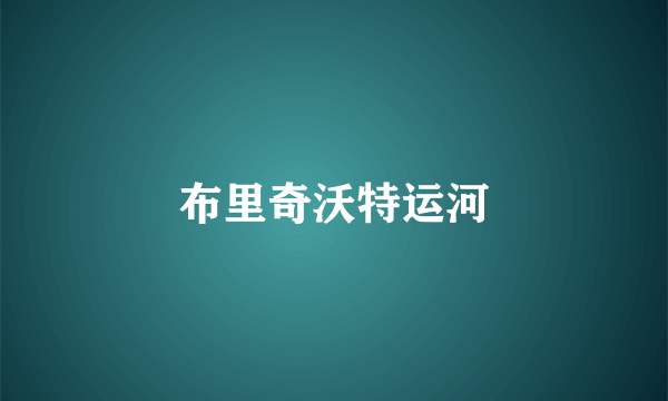 布里奇沃特运河
