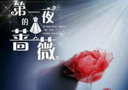 第一夜的蔷薇（霍建华、 陈伟霆、戚薇主演的电视剧）