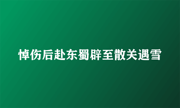 悼伤后赴东蜀辟至散关遇雪
